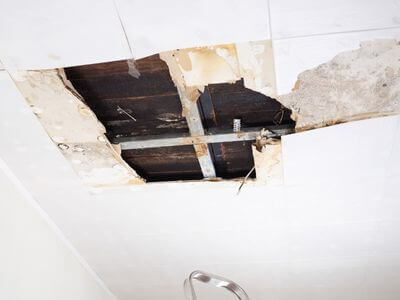 About Attic Mold Removal Pembroke - attic mold removal experts in Pembroke